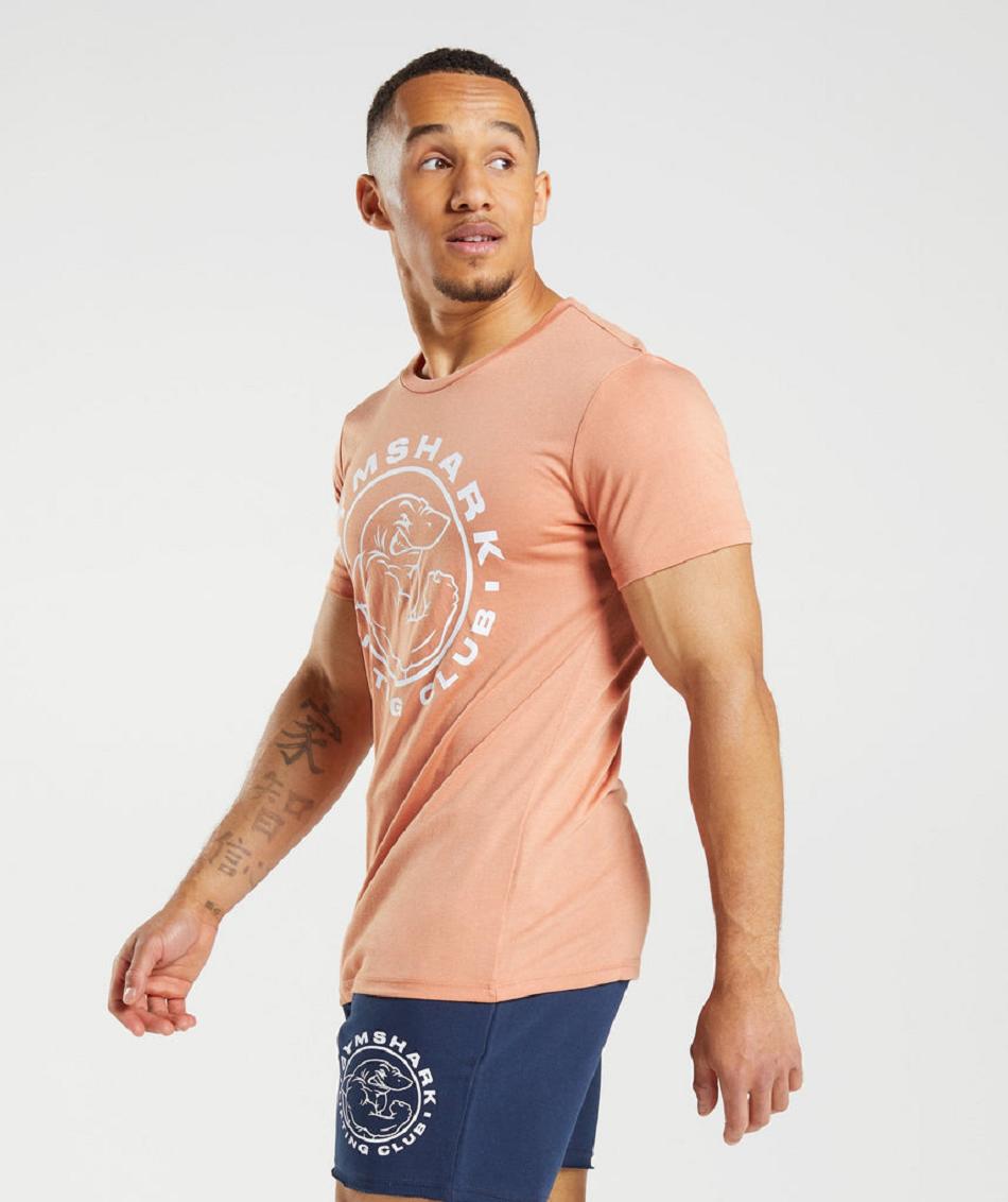 T Shirts Męskie Gymshark Legacy Różowe | PL 3891SGL